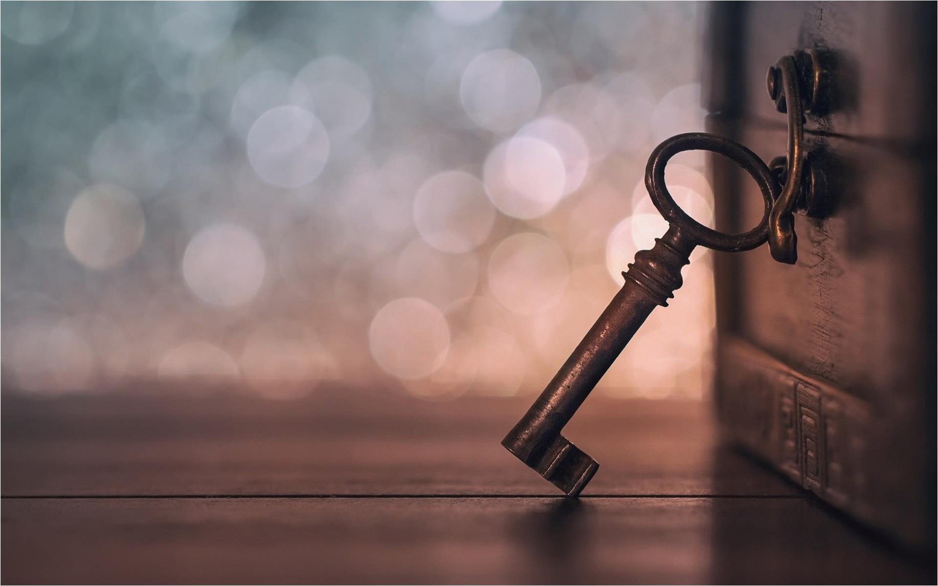 Turnkey project management